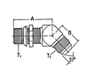 2061 SAE O-Ring Boss to 37º Flare